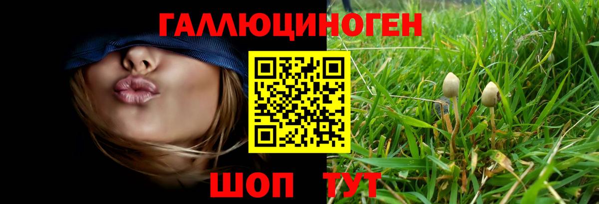 Чехов  Псилоцибиновые грибы прущие грибы  Вход с VPN 