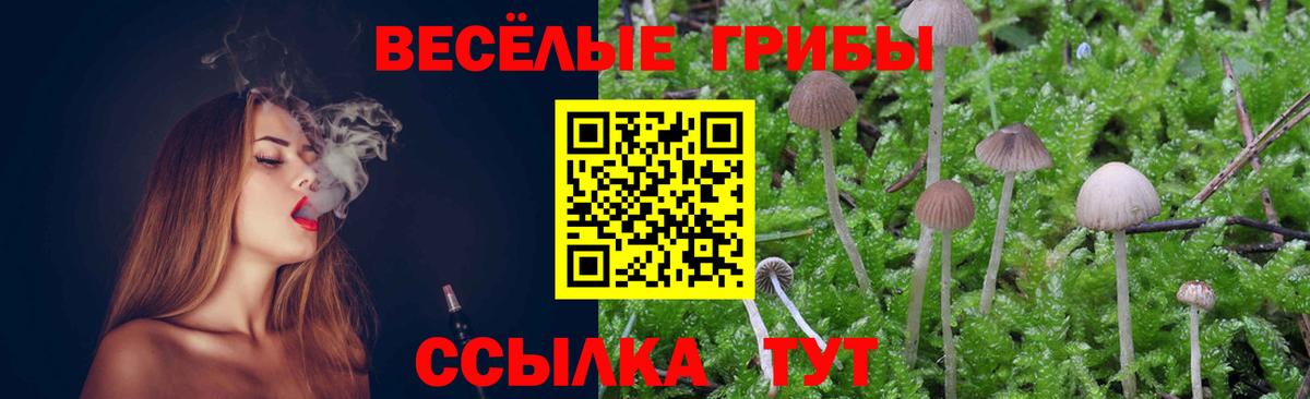 Галлюциногенные грибы Psilocybine cubensis Чехов